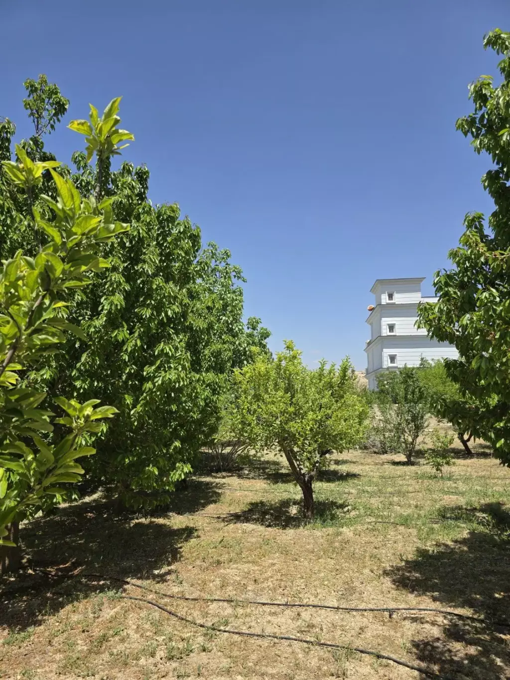 باغ میوه فول امکانات در نزدیکترین فاصله از تهران