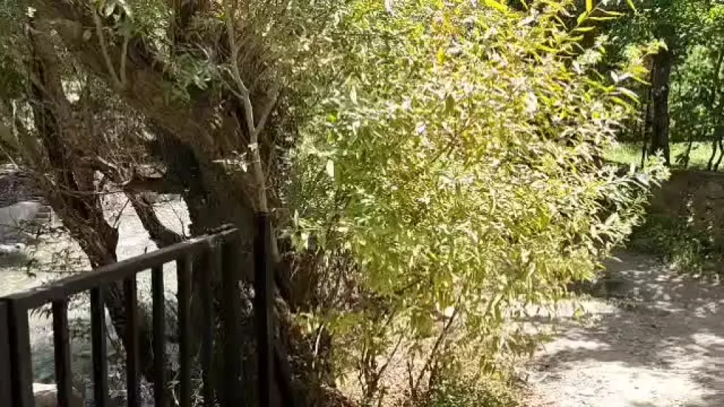 ویلا و خانه باغچه منحصربفرد