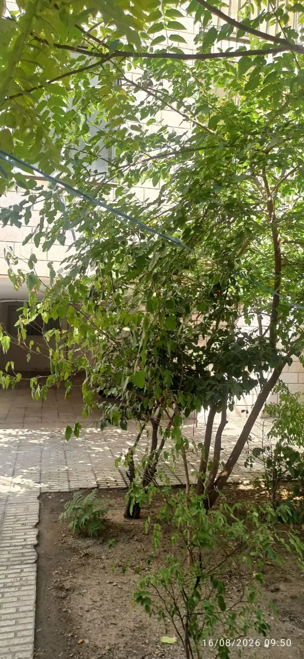 اجاره خانه و ویلا 135 متری در جنتآباد شمالی