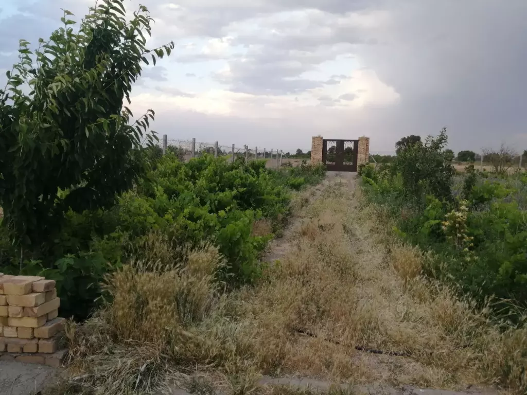 فروش خانه و ویلا 5000 متری در جلیلی