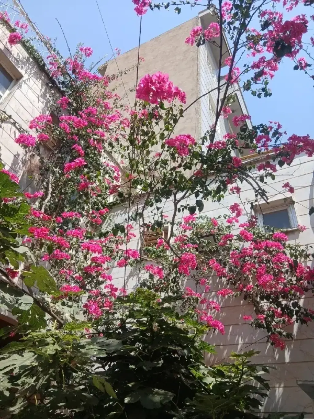 اجاره اداری و تجاری 28 متری در سلیمانی