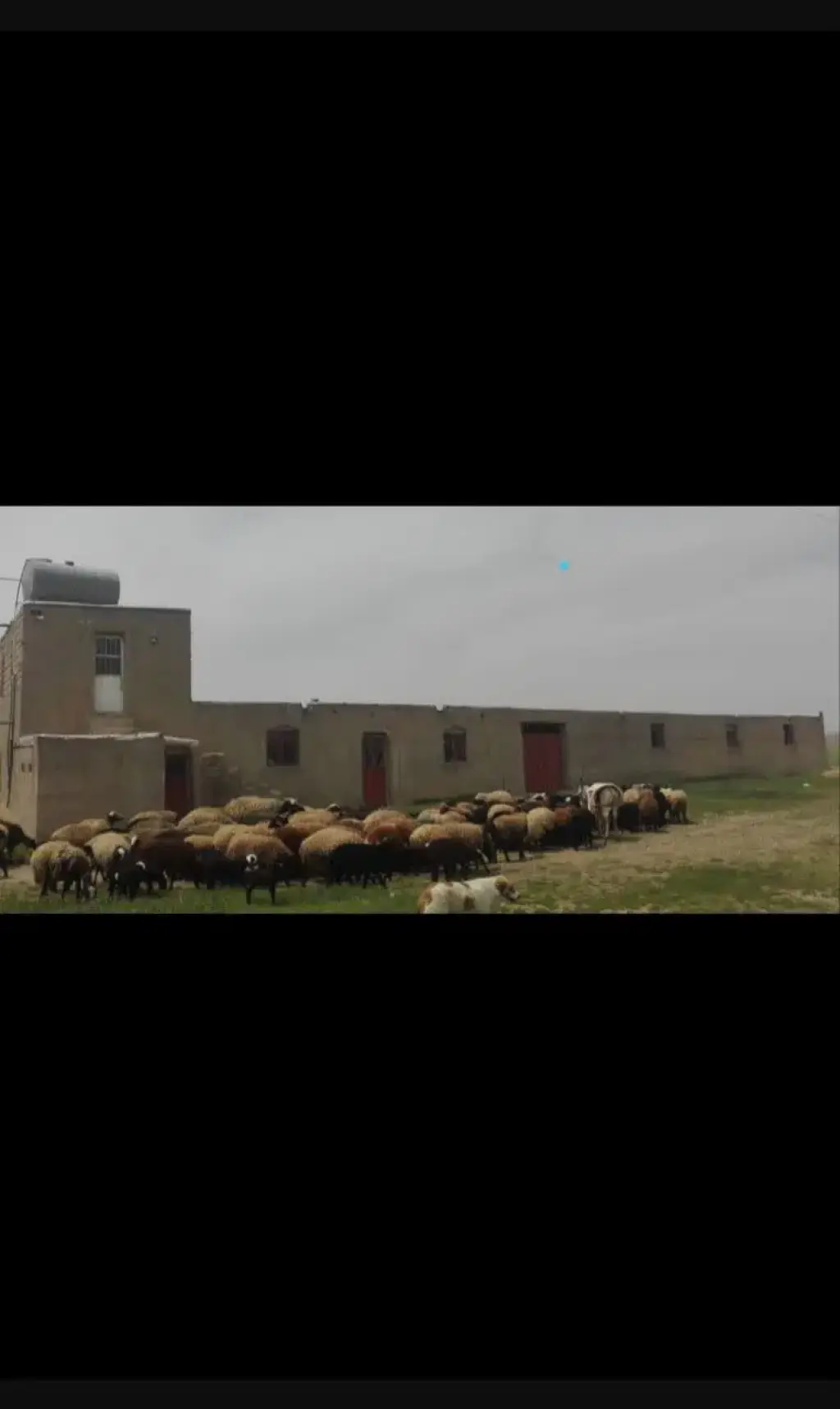 فروش اداری و تجاری 700 متری در سلسبیل جنوبی