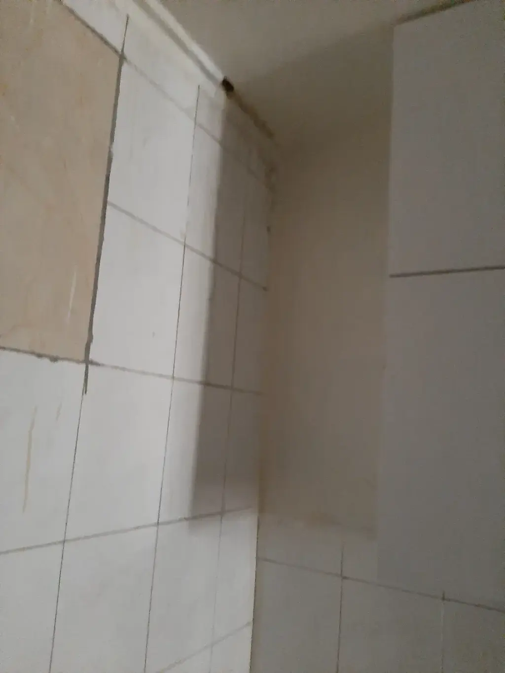 اجاره آپارتمان 43 متری در شهرک آزمایش